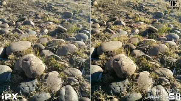 iPhone X與三星S8拍照對(duì)比 結(jié)果無(wú)懸念？